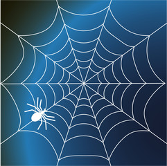 a spider and web- vector illustration