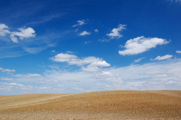 Obraz premium Landscape