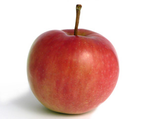 fresh apple