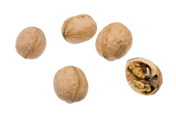 Isolated circassian walnuts