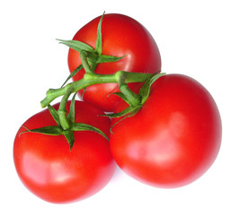 tomatoes