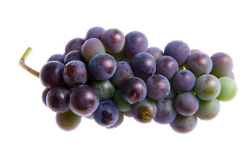 Grapes isolated on white