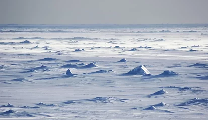 Gordijnen Eindeloze Antarctische sneeuwvelden voorbij de horizon © staphy