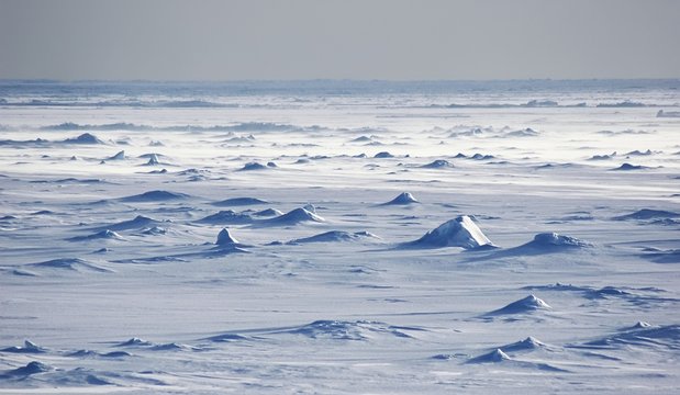 Endless Antarctic snowfields beyond horizons