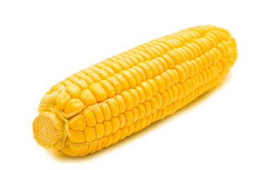 fresh corn on white background