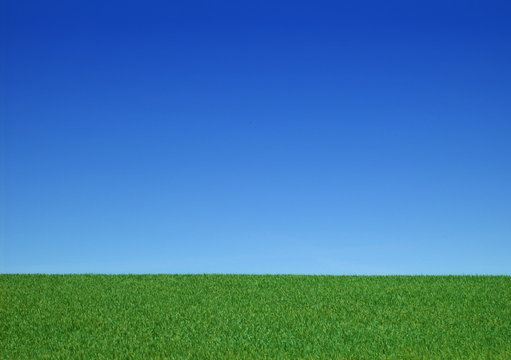 Grünes Feld und Blauer Himmel
