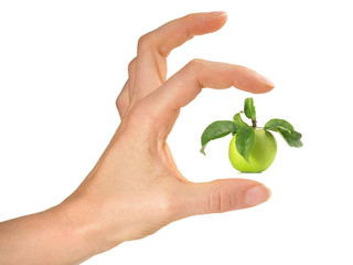 Hand mit Apfel