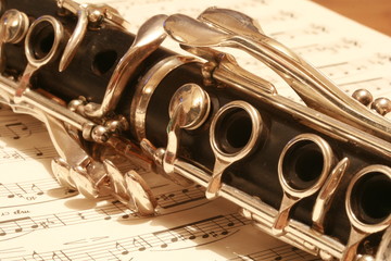 Obraz premium Clarinet
