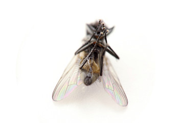 On my back