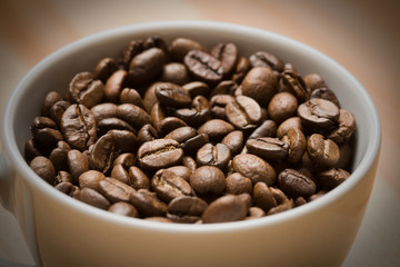 Cup with freshly roasted coffee beans