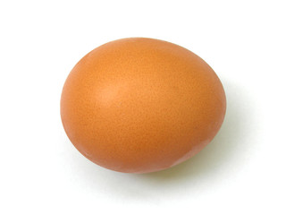 Egg