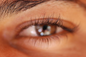 Obraz premium regard arabe