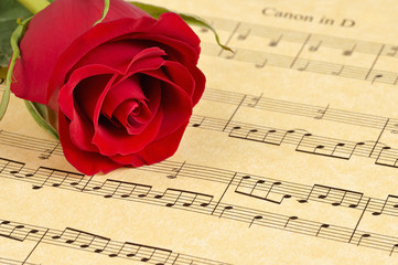 A red rose bud rests on Pachelbel's 'Canon in D'  sheet music