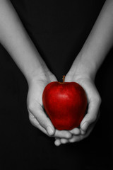 hands holding a red apple in black background.