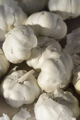 garlic - close up