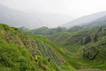 Gordijnen Guilin Rice Field Terrace © Viacheslav Gorelik