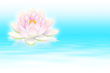 Fleur de lotus avec reflets