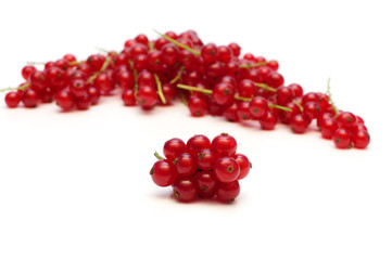 fresh redcurrant on white background