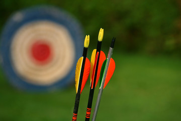 archery arrows and target on a green background