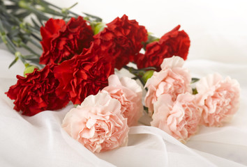 Red and pink carnations on white cloth