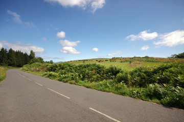 campagne et beau temps
