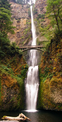 Fototapeta na wymiar Multnomah falls pobliżu Portland