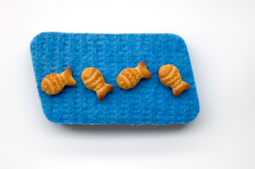 Four fish crackers on a sponge