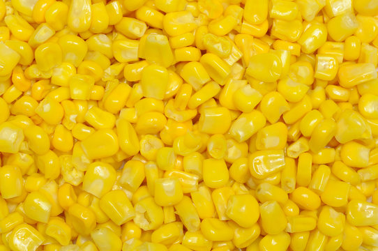 Background of swet corn kernels