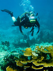 Naklejka na ściany i meble Shots of scuba diving in the Florida keys
