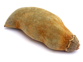 fruit sec de baobab ou pain de singe