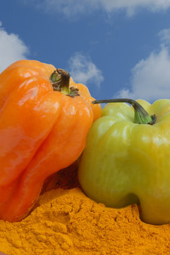 Couleurs piments