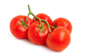 Red tomatoes on a green twig on white background