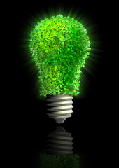 GREEN ECO ENERGY