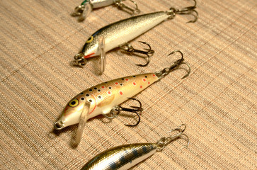 minnows