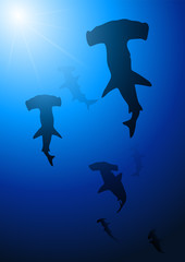 Naklejka premium Deep blue shark background
