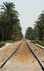 Fototapeta na wymiar Train tracks through an oasis