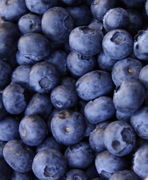 detailed image closeup of blue berry fruits