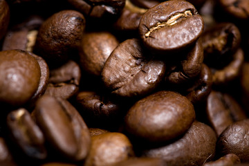 Freshly roasted coffee beans