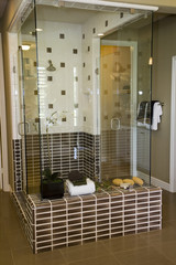 Modern bathroom with a luxurious tiled shower.