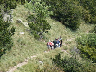 Randonneurs au Mont Aigoual