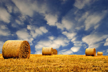 Hay or Straw Bales.