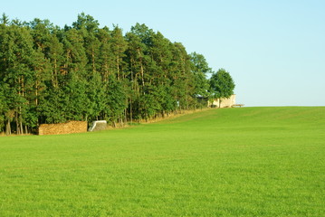 Fototapeta premium Waldrand