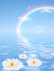 Heavenly Vista