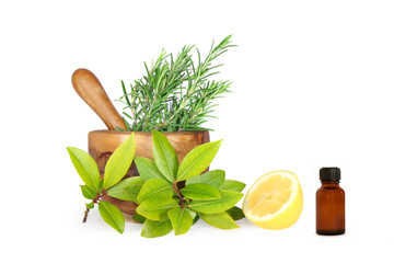 Herbs and Lemon Ingredients
