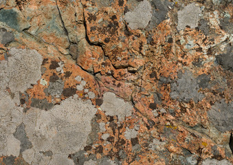 Texture of Stone 10