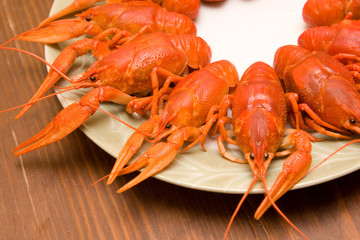 Boiled cancers on plate