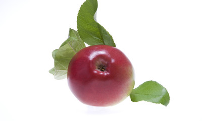 Red apple 2