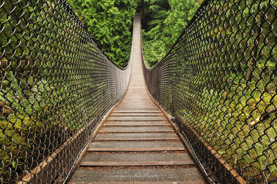 lynn valley suspension bridge