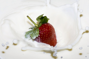 splashing strawberry into a milk