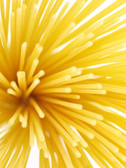 menü design, spaghetti bouquet nahaufnahme, food art